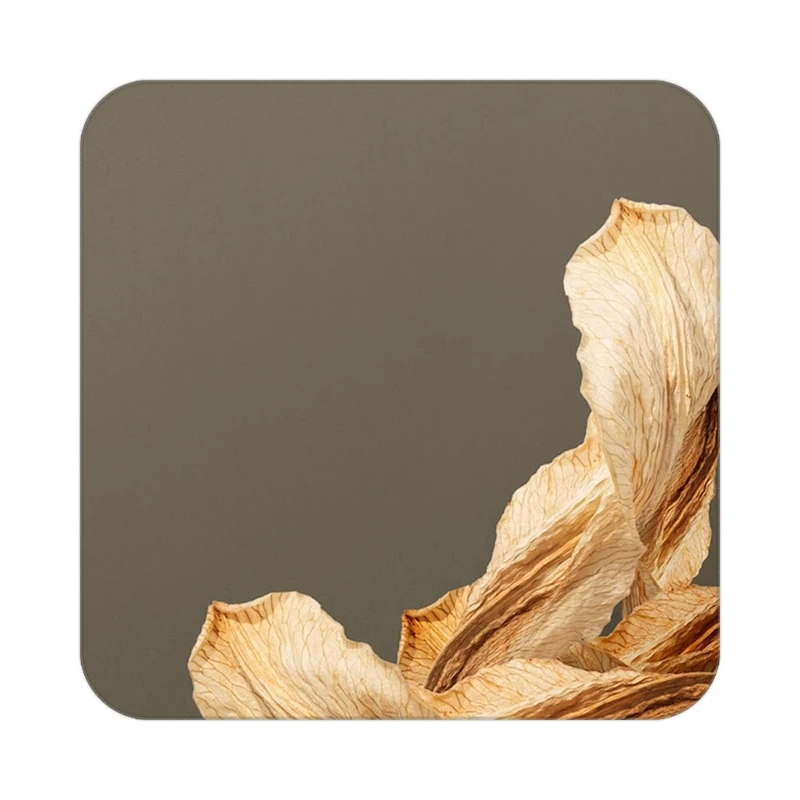 زیر لیوانی کاکتی طرح گل مدل mp17203