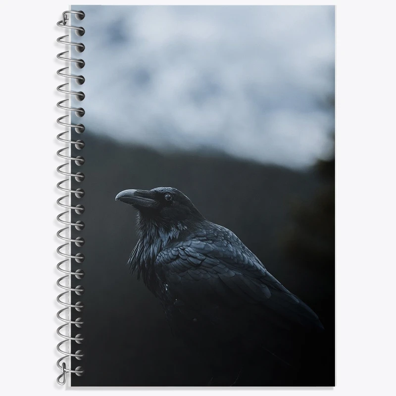 دفتر زبان 50 برگ خندالو مدل دو خط طرح کلاغ کد F1210