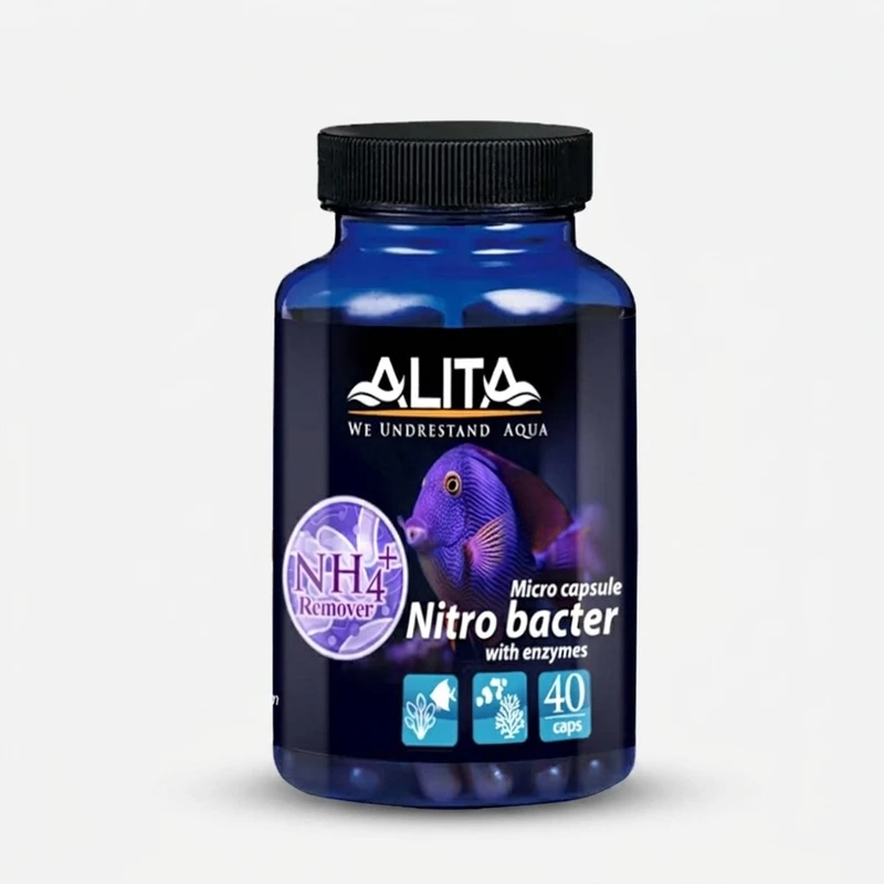 کپسول باکتری زنده آب آکواریوم مدل نیتروباکتر آلیتا بسته 40 عددی مناسب برای حذف آمونیاک، نیتریت و نیترات، افزایش کیفیت آب و شادابی آبزیان، قابل استفاده در آکواریوم‌های آب شیرین و آب شور، هر قرص برای 100 لیتر آب، حالت جامد و طول عمر 4000 ساعت