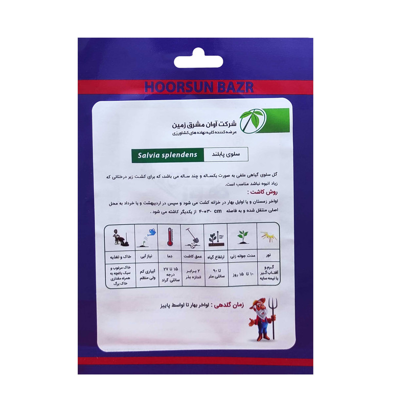 بذر گل سلوی پابلند هورسان کد HSN-04 بذر گل سلوی پابلند هورسان کد HSN-04