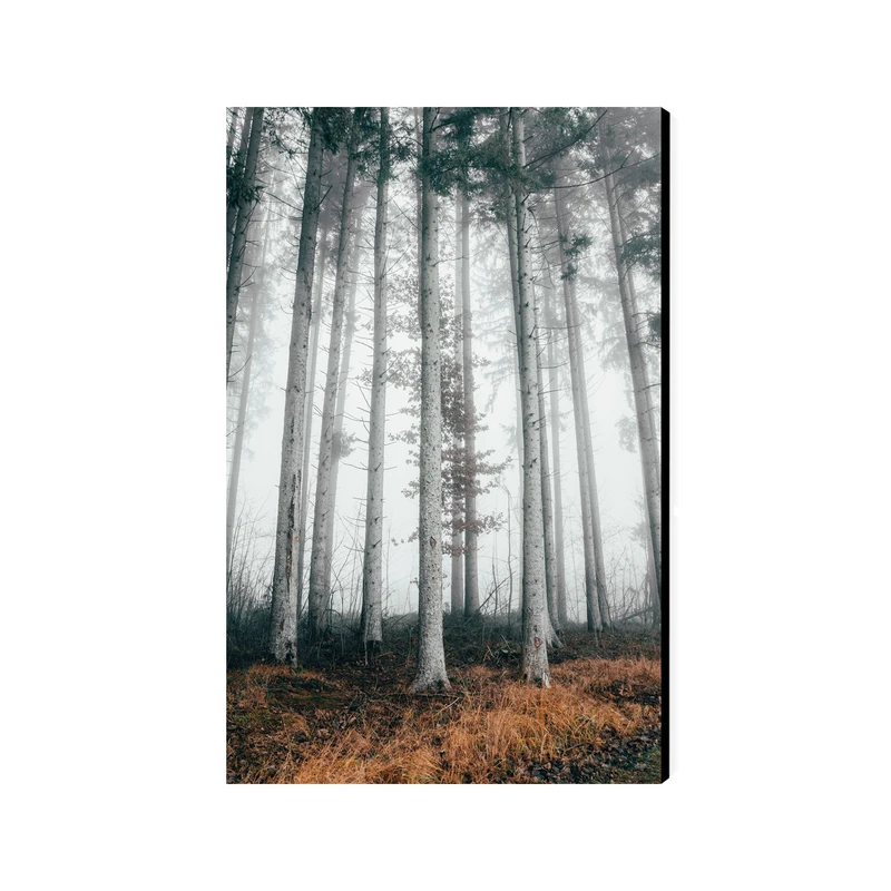 تابلو شاسی عرش مدل فانتزی منظره جنگل کد As4537