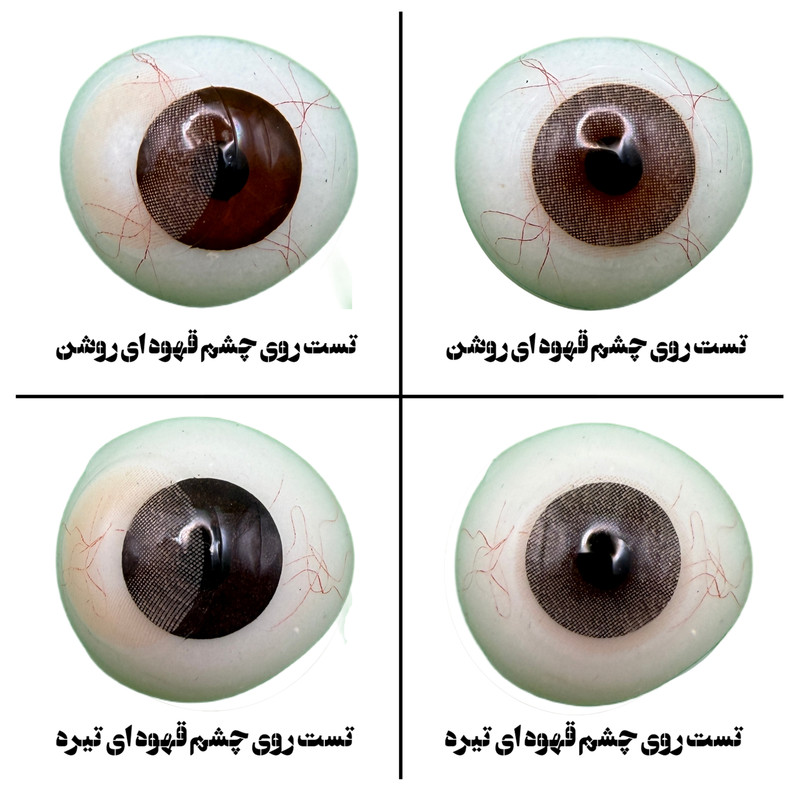 لنز چشم یونیک فصلی مدل PARODIA رنگ عسلی خاکی بدون دور 