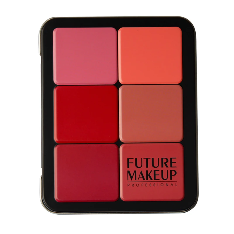 عکس شماره 4 : پالت کانتور و رژگونه فیوچر میکاپ مدل high definition شماره 103