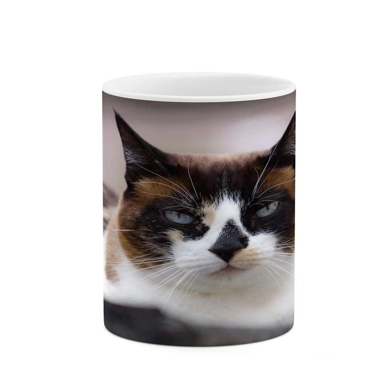 ماگ کاکتی مدل گربه کد mgh14577