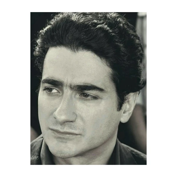 تابلو شاسی طرح همایون شجریان کد 0007
