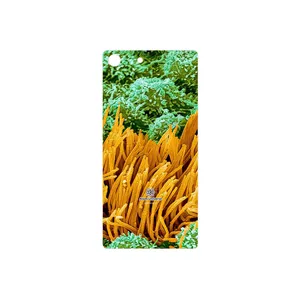 MAHOOT Atom Universe 6 Cover Sticker for Sony Xperia M5