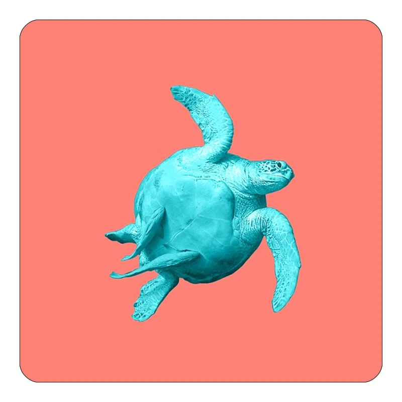 مگنت کاکتی طرح حیوانات رنگی مدل mp26523