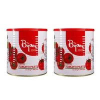 رب گوجه فرنگی بیژن - 800 گرم&nbsp;بسته دو عددی