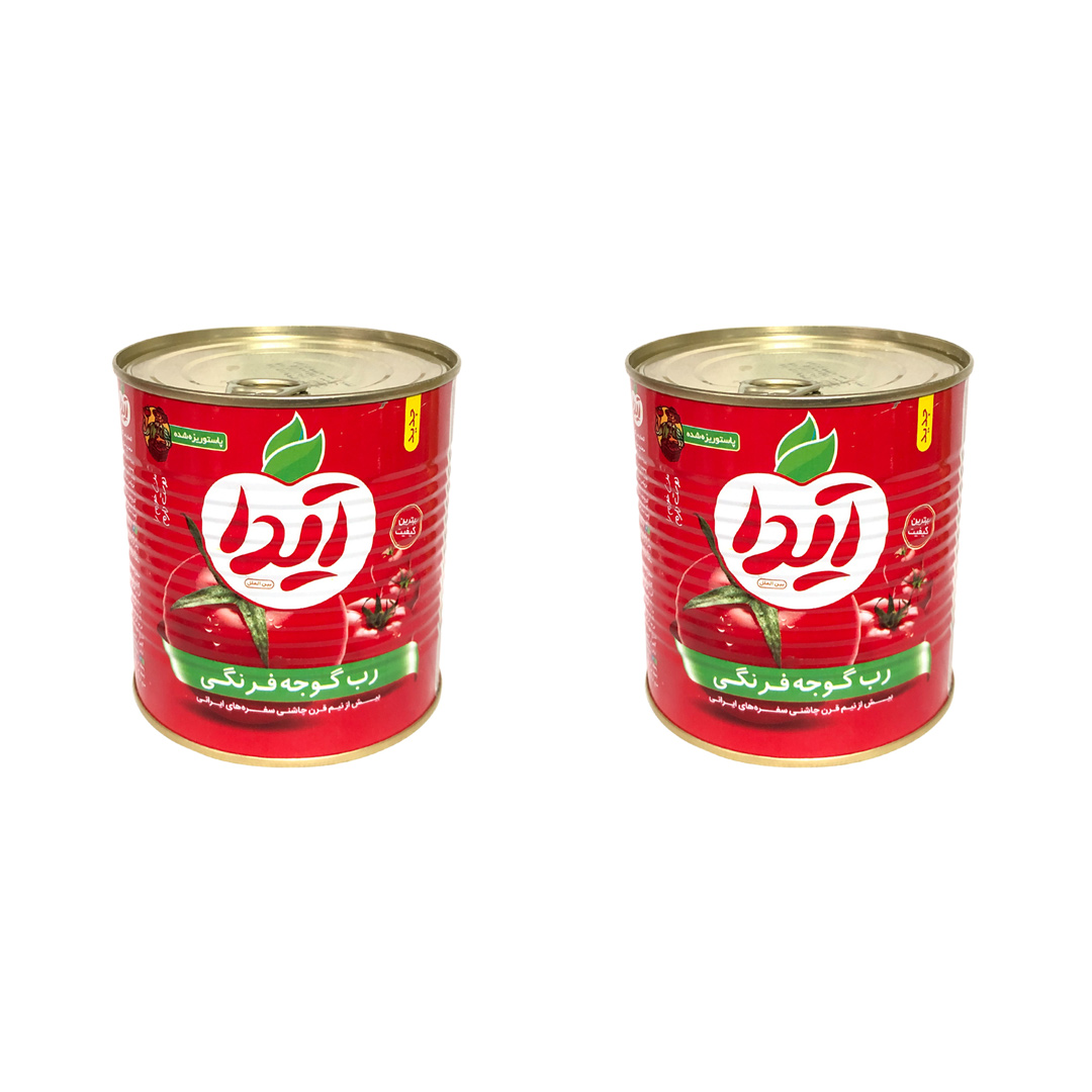 رب گوجه فرنگی آیدا -800 گرم بسته 2 عددی