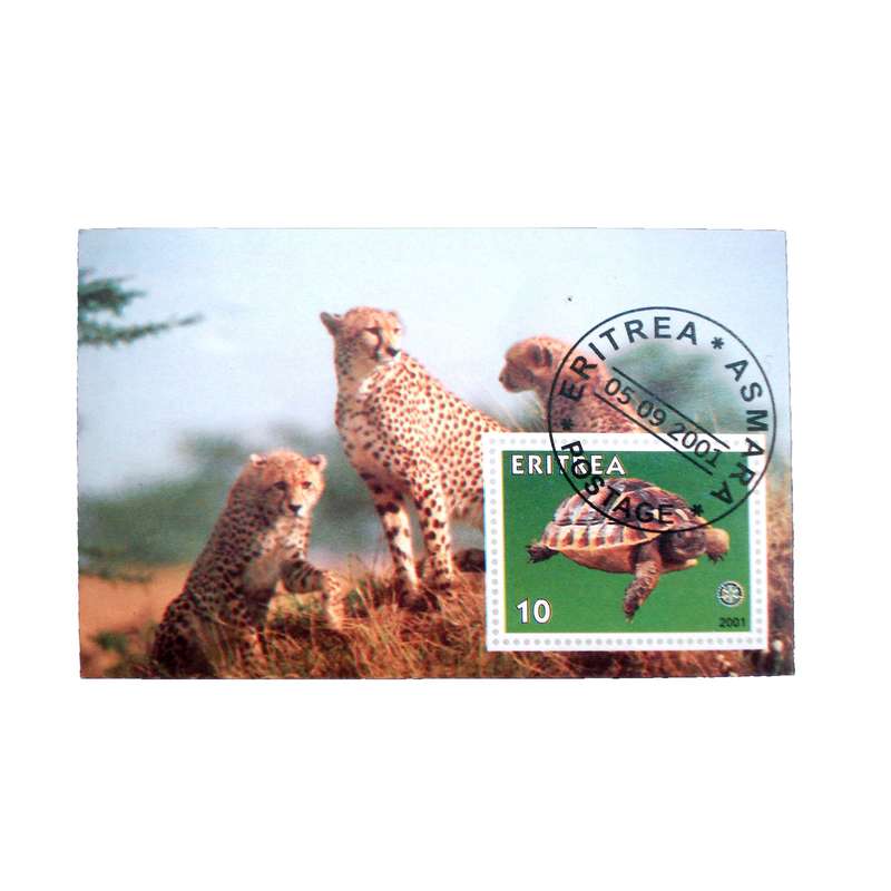 تمبر یادگاری مدل حیات وحش کد  DS1719   