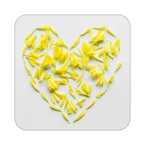 زیر لیوانی کاکتی طرح عاشقانه مدل mp40287