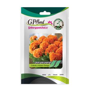 نقد و بررسی بذر گل تاج خروس چتری نارنجی گلبرگ پامچال کد GPF-242 توسط خریداران