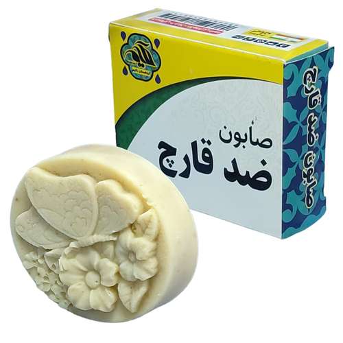 صابون شستشو گیاهستان حکیم مدل ضد قارچ وزن 70 گرم بسته 10 عددی