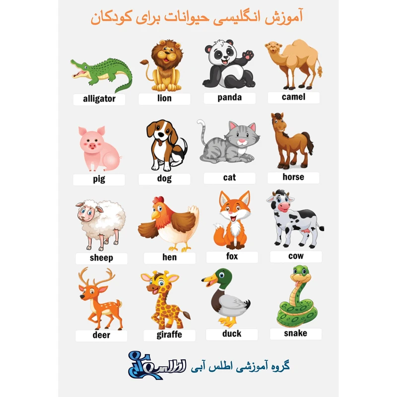 عکس شماره 1