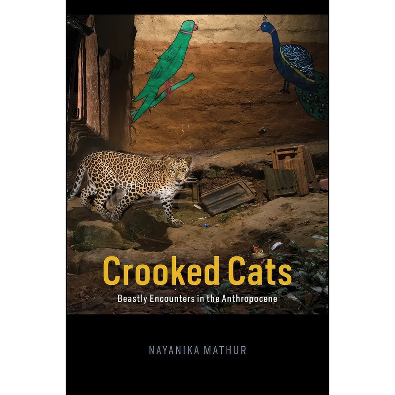 کتاب Crooked Cats اثر Nayanika Mathur انتشارات University of Chicago Press