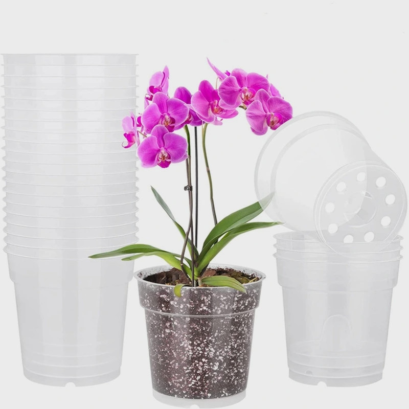 گلدان مدل شفاف ارکیده مجموعه 2 عددی