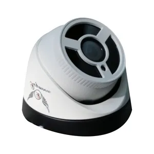 دوربین مداربسته آنالوگ رایمون مدل RD850M2053