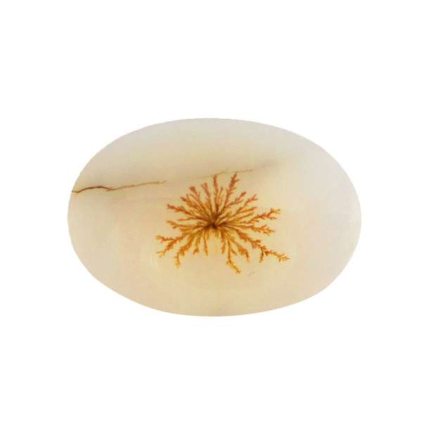 سنگ شجر پارلا گوهر کد 4076