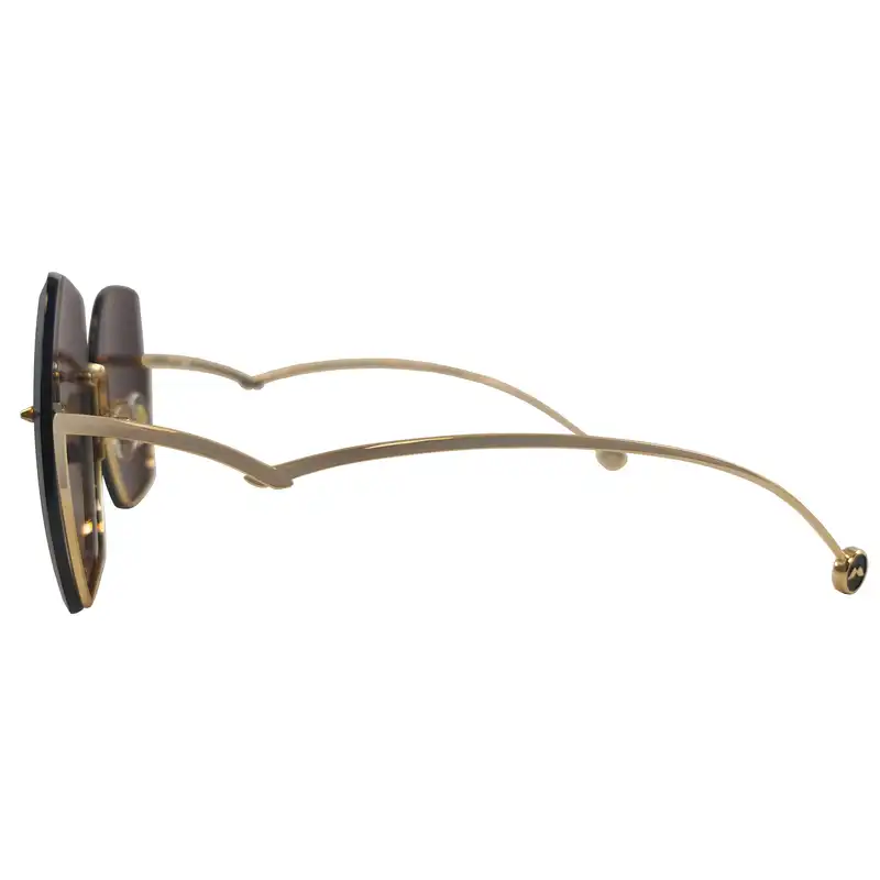 عینک آفتابی زنانه مولسیون مدل MS7067B6160