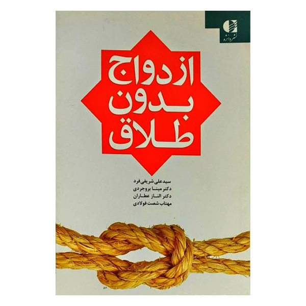 کتاب ازدواج بدون طلاق اثر جمعی از نویسندگان انتشارات دانژه