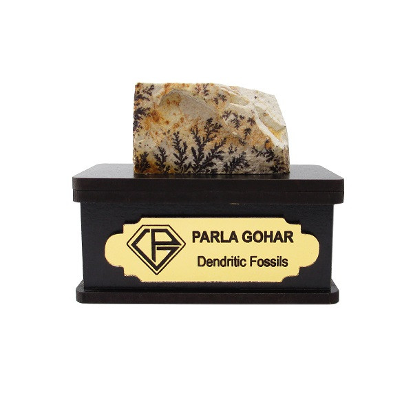 سنگ راف شجر فسیلی پارلا گوهر کد 2208