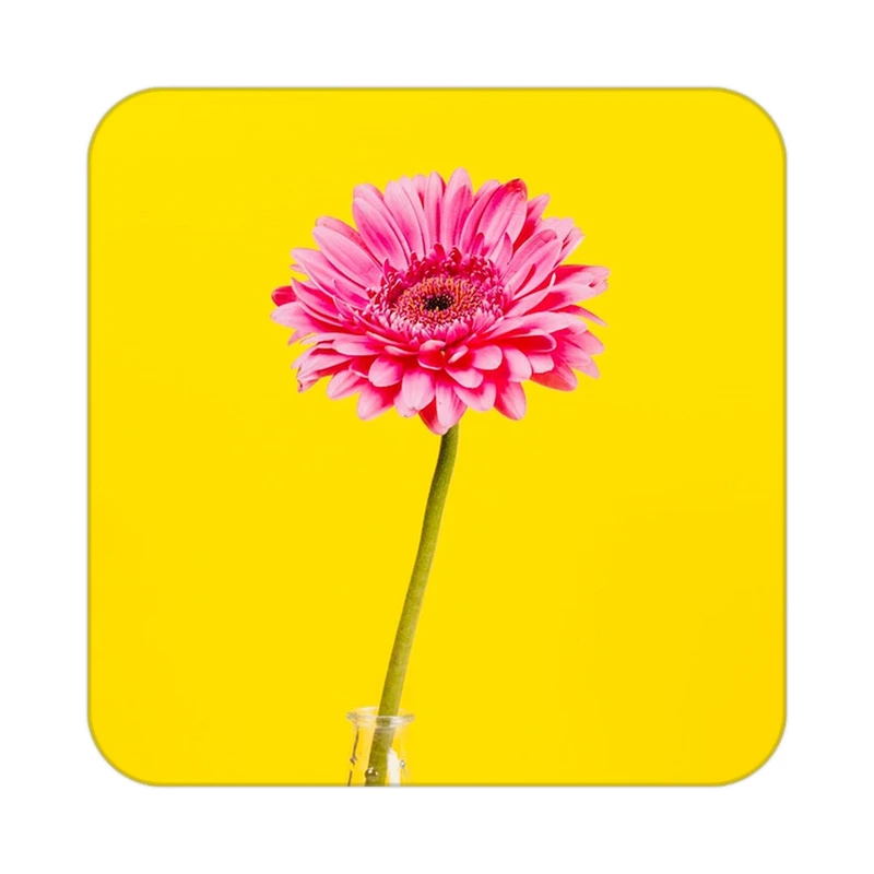 زیر لیوانی کاکتی طرح گل مدل mp17082