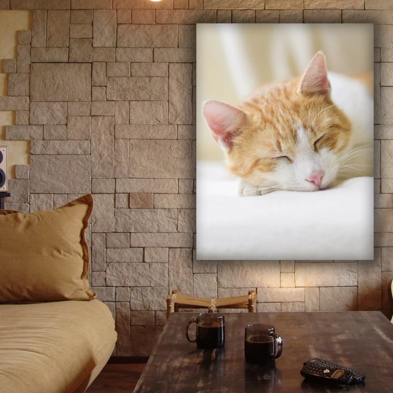 تابلوشاسی طرح گربه کد 7