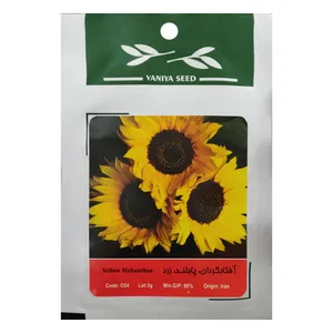 بذر گل آفتابگردان پابلند زرد وانیا سید مدل O24