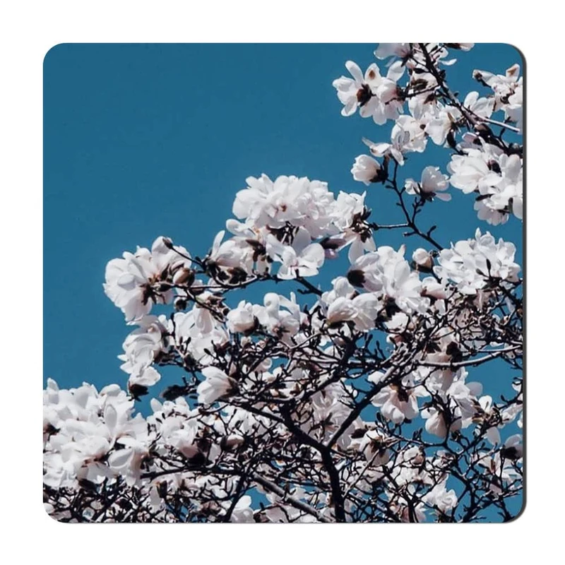 مگنت گالری باجو طرح گل کد flower 5