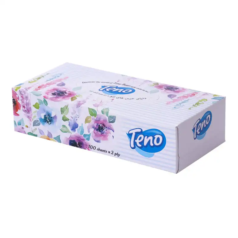 دستمال کاغذی 100 برگ تنو مدل Soft بسته 12 عددی