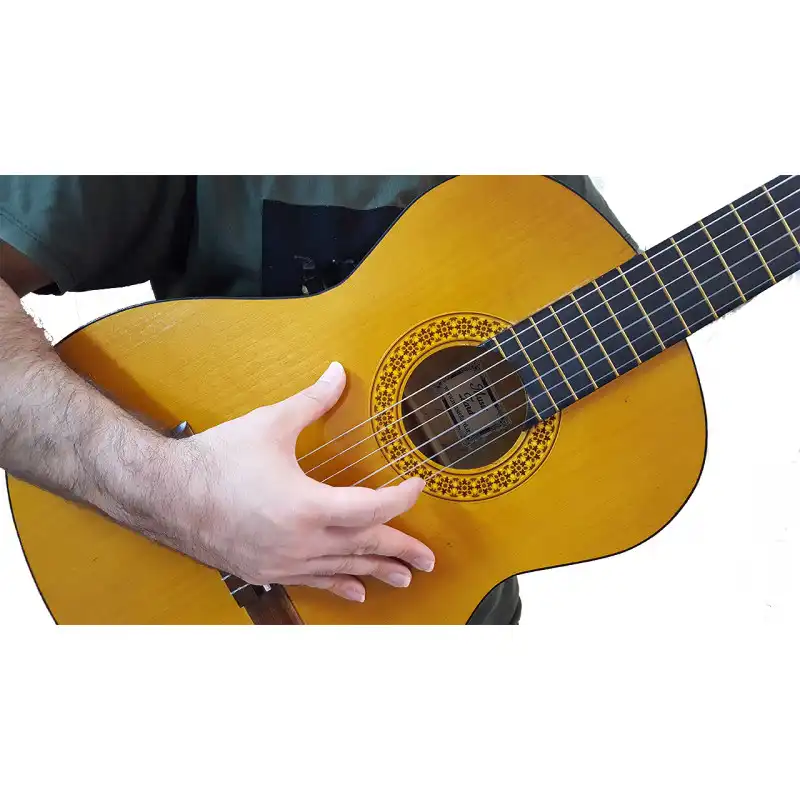 گیتار مدل C40