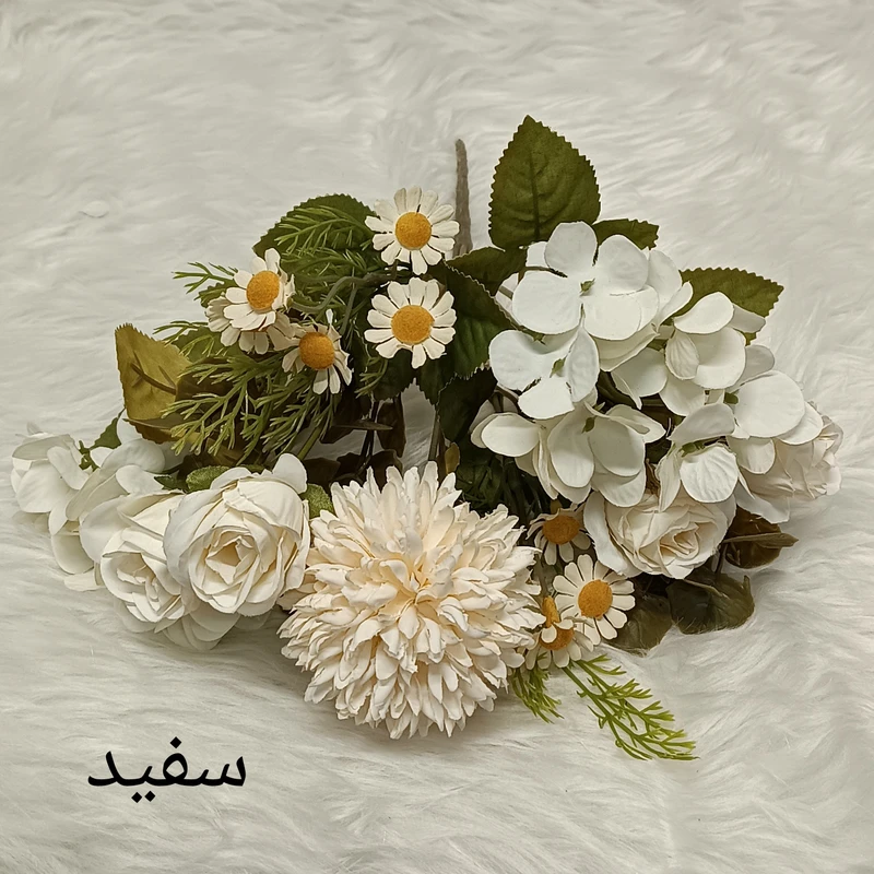 عکس شماره 3