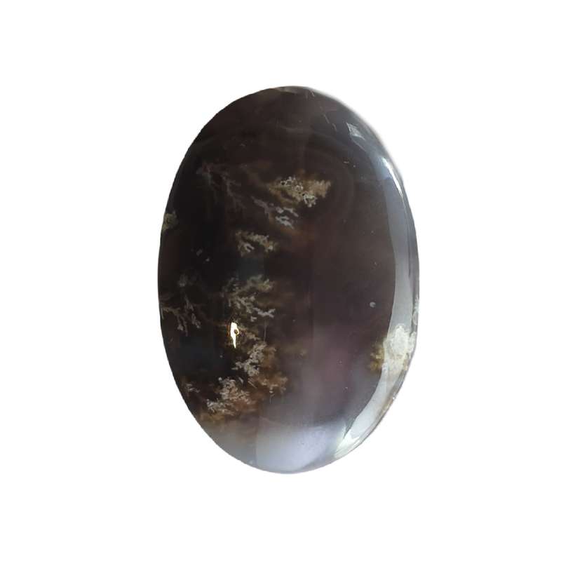 نگین شجر مدل زمینه سوسنی کد A6075