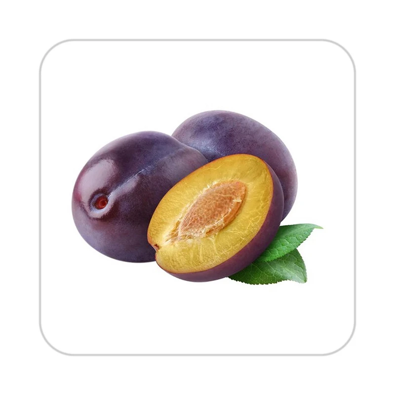 زیر لیوانی کاکتی طرح میوه مدل mp19828