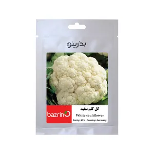 بذر گل کلم سفید بذرینو کد BZNO-216