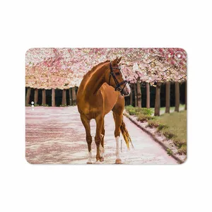 MAHOOT Horse-1 Cover Sticker for Apple iPad Pro 11 2018 A2013