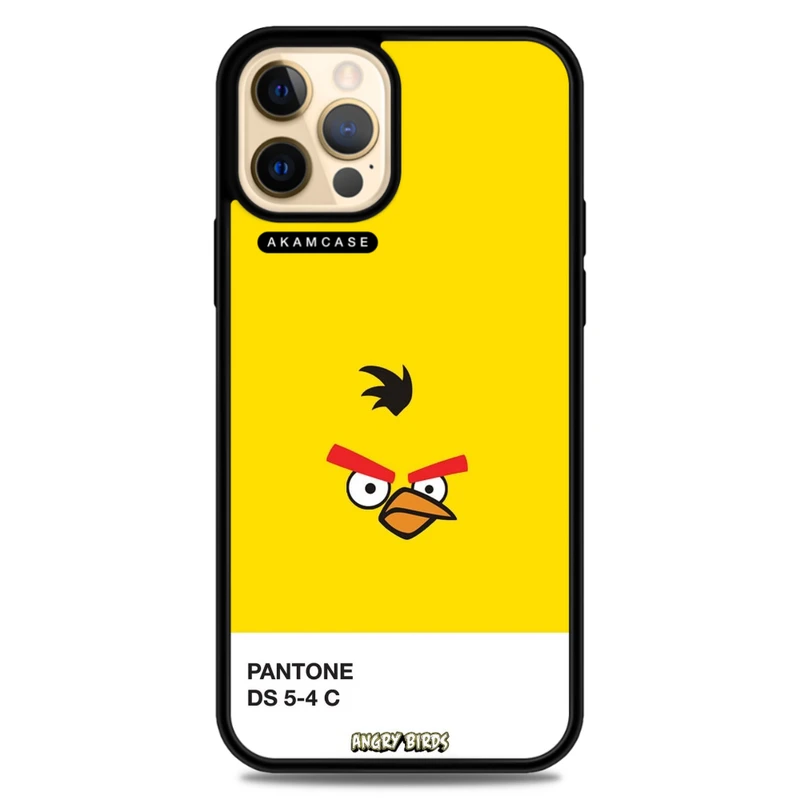 کاور آکام مدل AMC-WA12PRO-ANGRY BIRDS14 مناسب برای گوشی موبایل اپل iPhone 12 Pro