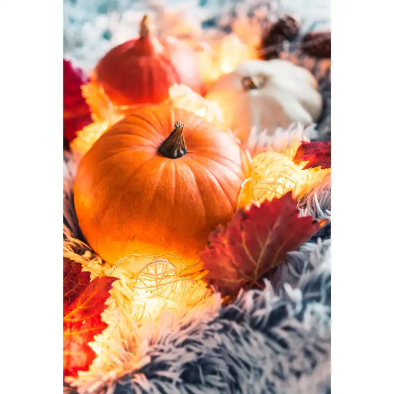 تابلو شاسی طرح برگ و کدو تنبل مدل T1796