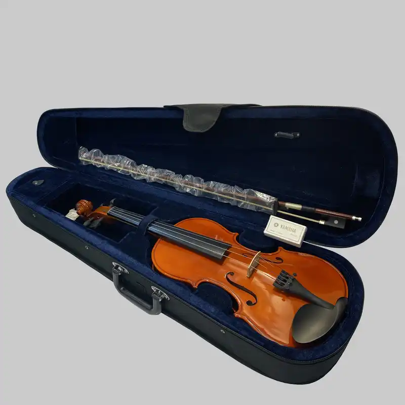 ویولن آماتی مدل 100