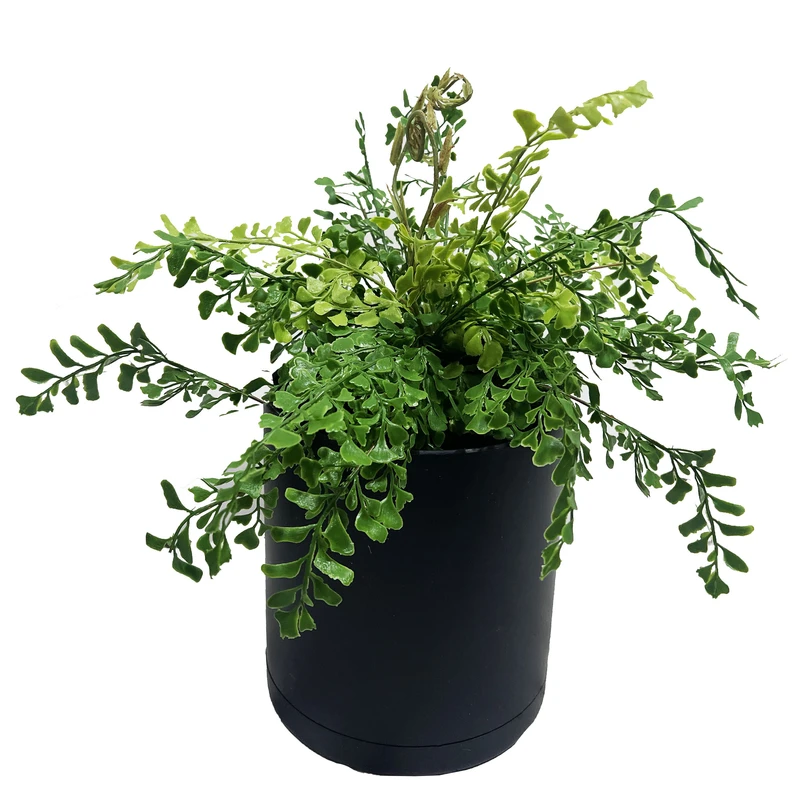 گلدان به همراه گل مصنوعی مدل سرخس برگ قلبی کد 160