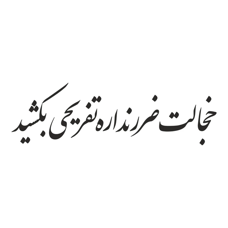 برچسب بدنه خودرو ماتریسیو طرح خجالت ضرر نداره تفریحی بکشید کد M-B338