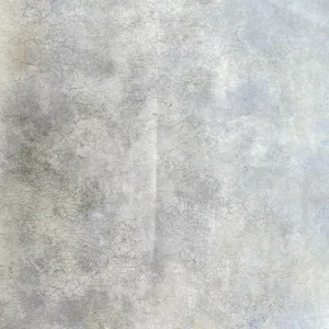 کاغذ دیواری ریدلی نش مدل 62714