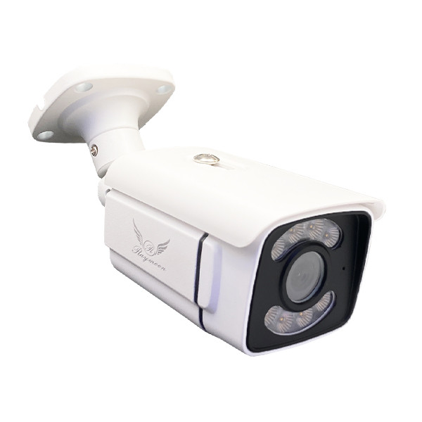 دوربین مداربسته تحت شبکه رایمون مدل 5MP-8330-IP-AI