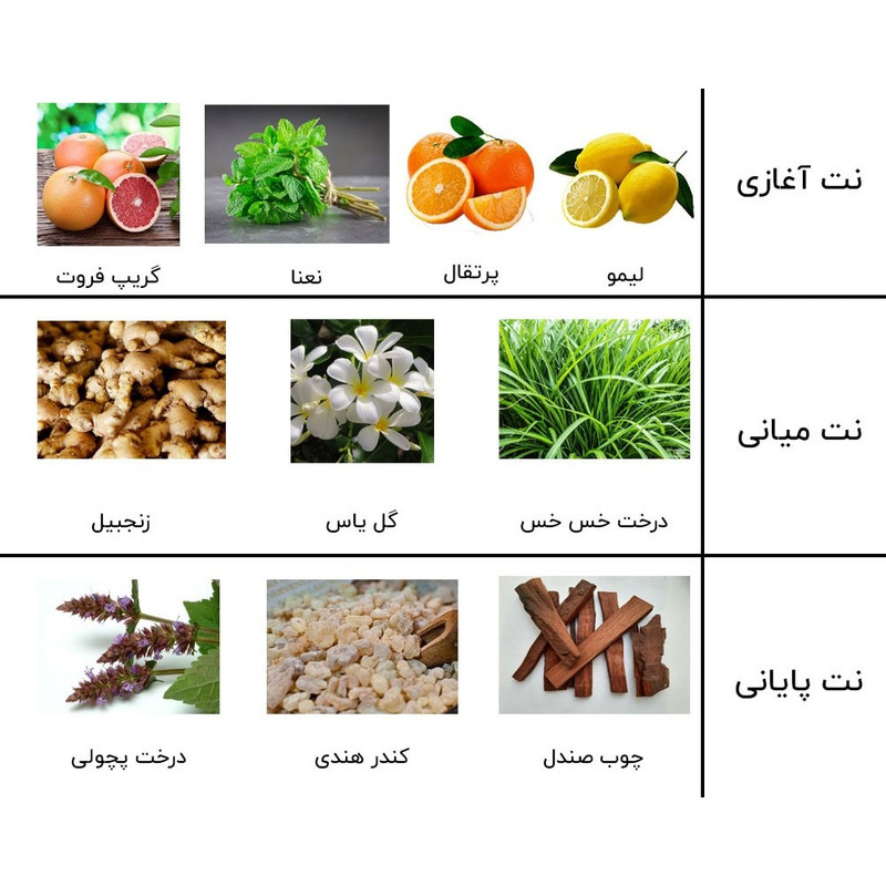 ادو پرفیوم مردانه زوا مدل بلو شنل  حجم 100 میلی لیتر