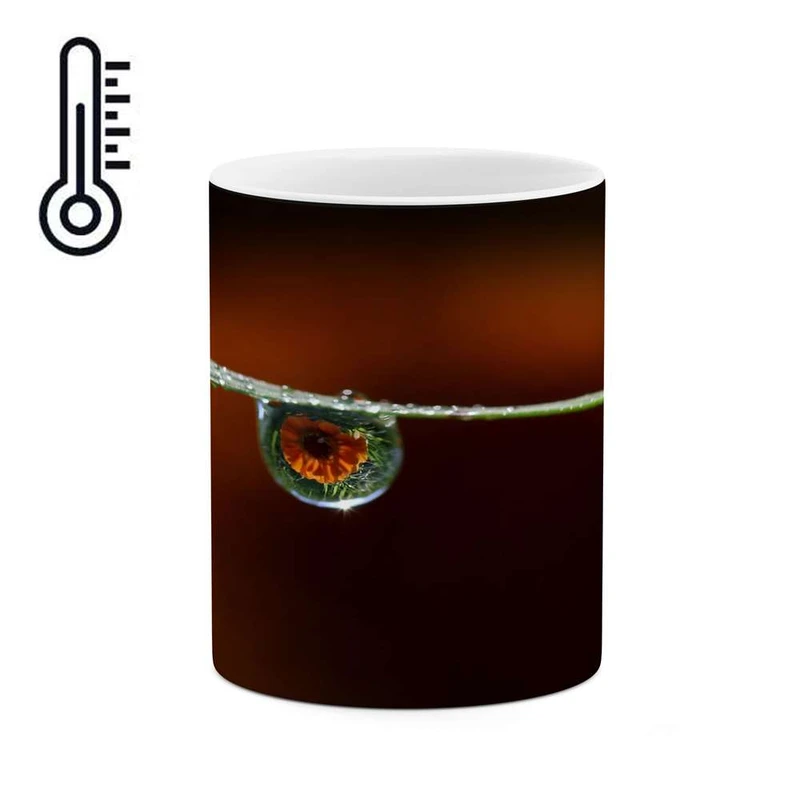 ماگ حرارتی کاکتی مدل فانتزی کد mgh14213