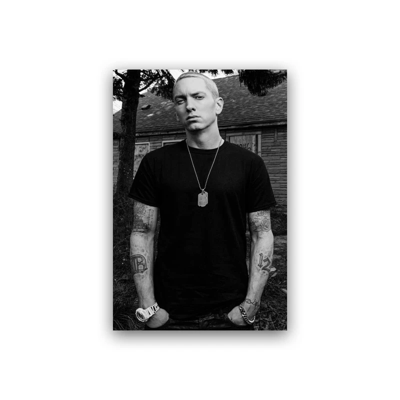 تابلو شاسی طرح امینم مدل BS00537