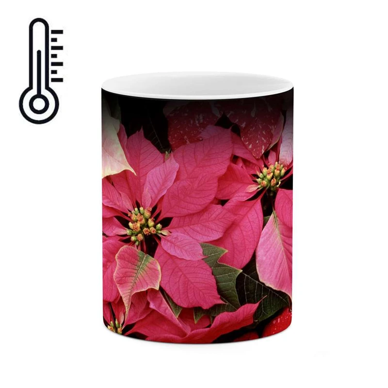 ماگ حرارتی کاکتی مدل گل کد mgh11982