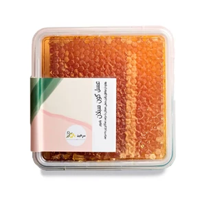 عسل طبیعی گون - 1 کیلوگرم