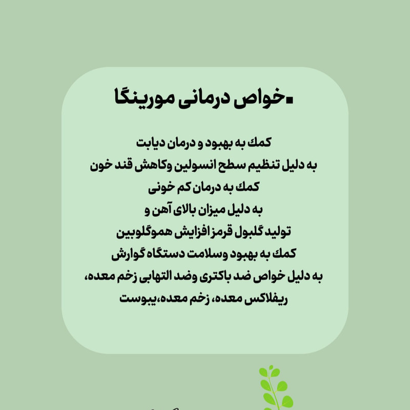 پودر گیاهی مورینگا آرانیچر - 100 گرم