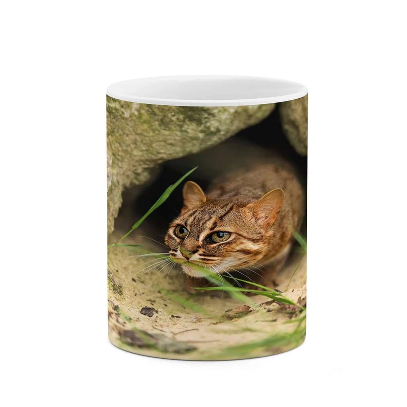 ماگ کاکتی مدل گربه کد mgh16832